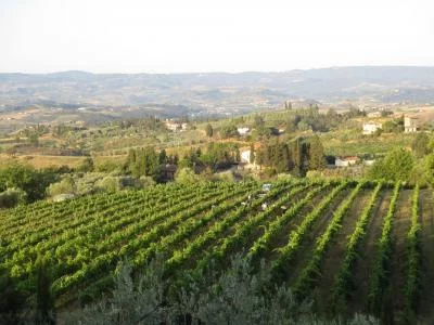 Imagen principal de Tenuta della Luia