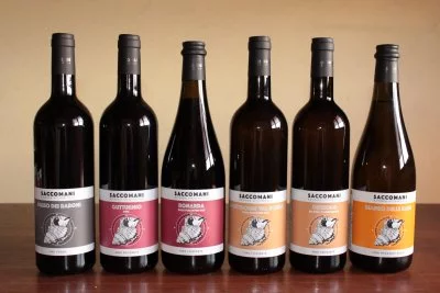 Immagine principale di Saccomani (Food Valley, Colli Piacentini, Val Nure, Val d'Arda)