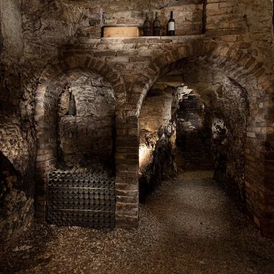 Main image of Poderi Gianni Gagliardo (Langhe, Alta Langa, Barolo)
