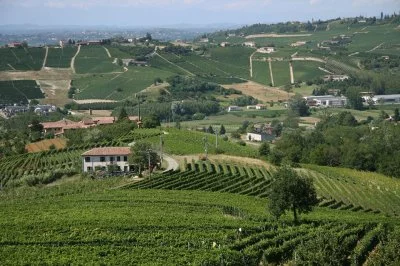 Image principale de Azienda vinicola Gianni Doglia (Langhe, Monferrato, Moscato d'Asti, Barbaresco, Collines d'Asti)