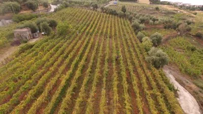 Image principale de Azienda Agricola Fuocomuorto (Vésuve)