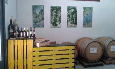 Immagine principale di Mambrini Viticoltori (Maremma, Morellino, Saturnia)