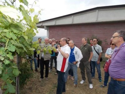 Main image of Azienda Agricola Padroggi La Piotta (Oltrepò Pavese)