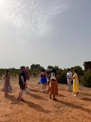 Immagine principale di Vigna di Pettineo (Val di Noto)