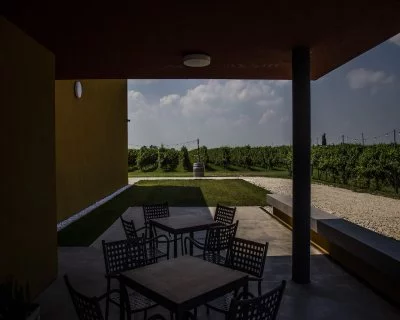 Main image of Azienda Agricola Randi (Romagna)