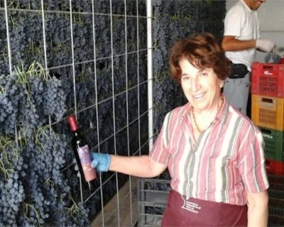 Hauptbild von Azienda Agricola Randi (Romagna)