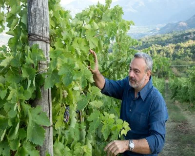 Hauptbild von Di Meo (Irpinia)