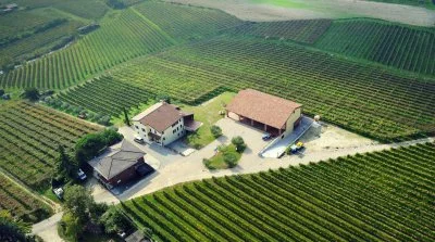 Main image of Il Pignetto (Lake Garda, Chiaretto, Custoza, Bardolino)