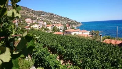 Immagine principale di Rovebella