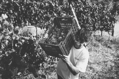 Immagine principale di Azienda Vinicola Durin