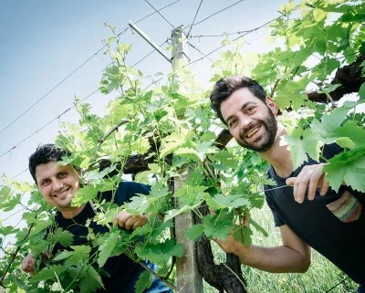 Immagine principale di Le Volpere