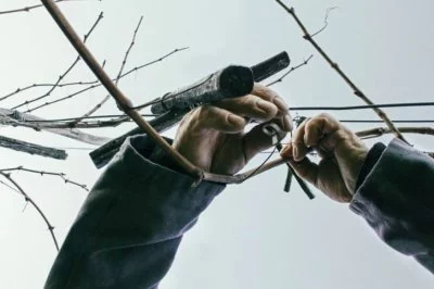 Immagine principale di Rive del Bacio