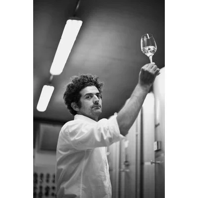 Immagine principale di Marchiori Wines