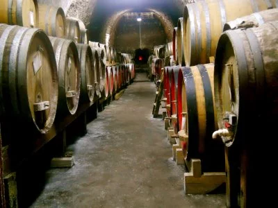 Immagine principale di Torre Rosano