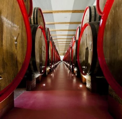 Immagine principale di Giacobazzi vini (Lambrusco, Food Valley)