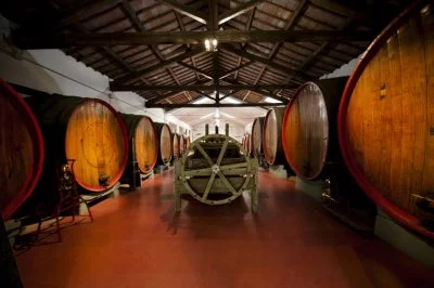 Immagine principale di Giacobazzi vini (Lambrusco, Food Valley)