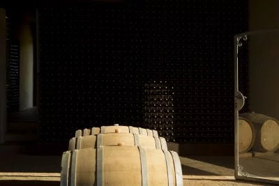 Hauptbild von Campo alle Comete (Bolgheri)