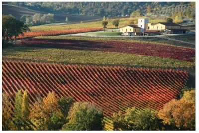 Main image of Cantina Cesarini Sartori (Montefalco)