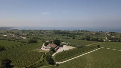 Main image of Tenuta La Cà (Valpolicella, Lake Garda, Chiaretto, Bardolino)