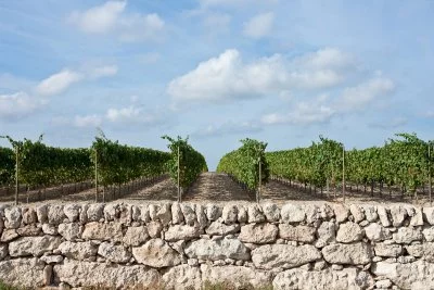 Immagine principale di Masseria Capoforte