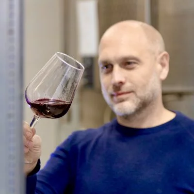 Immagine principale di Gaffino - Vigneti e Cantina (Colli Albani)