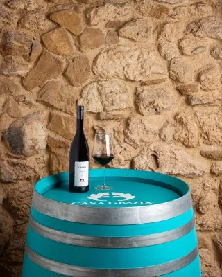 Hauptbild von Casa Grazia