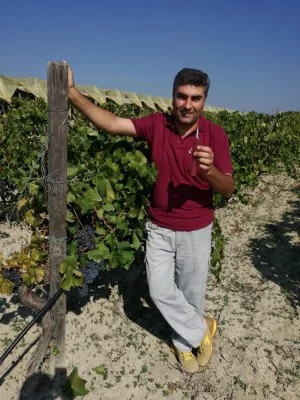 Immagine principale di Vini Pappalardo