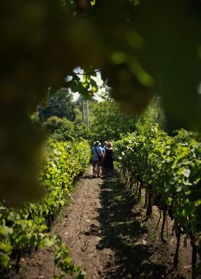Immagine principale di Tenuta San Giaime (Etna)