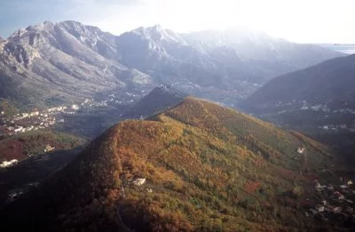 Hauptbild von Cantine Apicella (Amalfiküste)