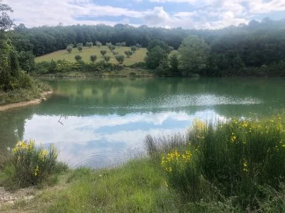 Immagine principale di Agriturismo Oliviera (Chianti Classico)