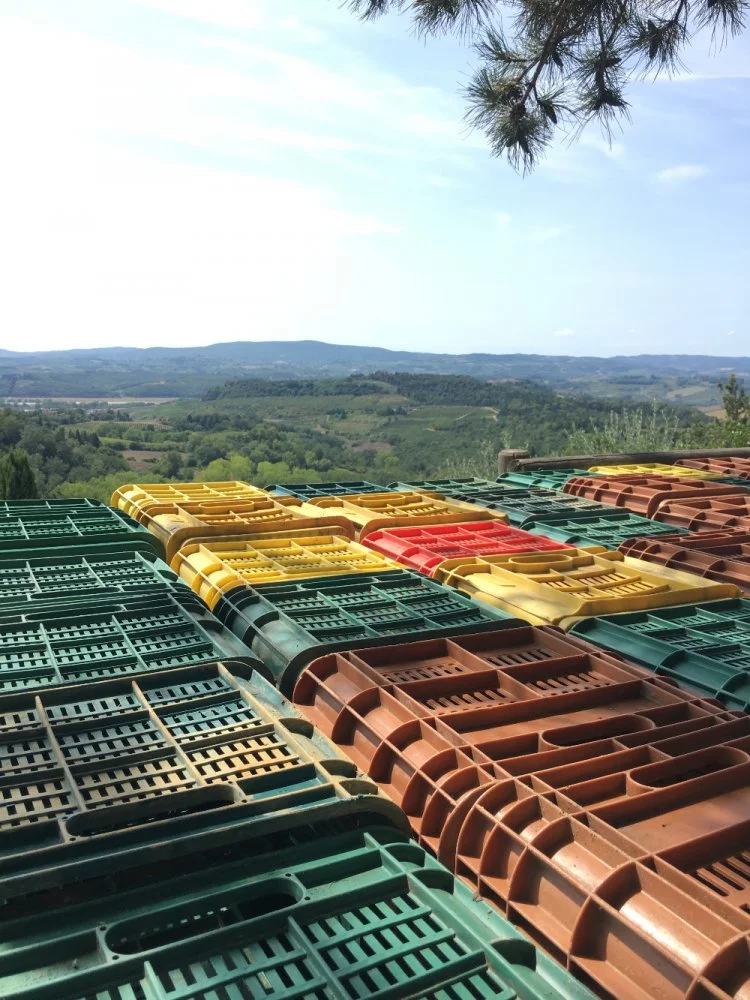 I Balzini Winery (Chianti, Chianti Classico)