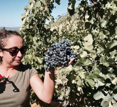 Hauptbild von I Balzini Winery (Chianti, Chianti Classico)