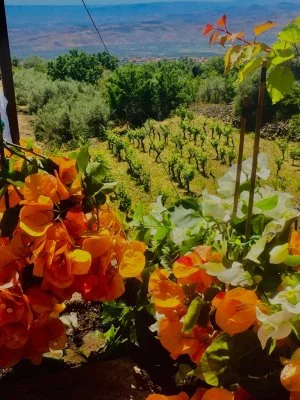 Immagine principale di Podere Dell'Etna Segreta (Etna)