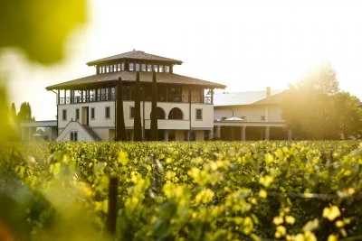 Imagen principal de Tenuta Luisa (Collio, Friuli Isonzo)