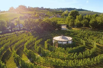 Main image of Tenuta Torciano (Val d'Elsa)