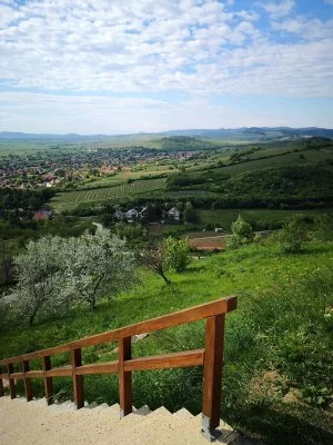 Main image of Barkland Pincészet