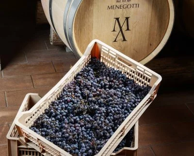 Imagen principal de Azienda Agricola Menegotti (Lago de Garda, Custoza, Bardolino)