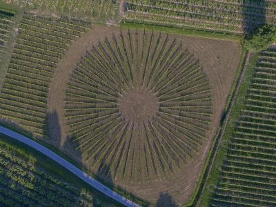 Imagen principal de Bergamini Azienda Agricola (Lago de Garda, Chiaretto, Bardolino)
