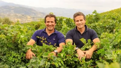Immagine principale di Di Giovanna Winery (Valle del Belice)