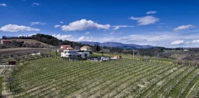 Hauptbild von Azienda agricola Cantina Ninni