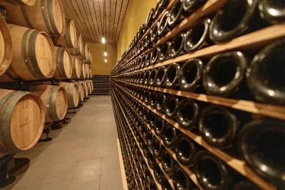 Main image of Soito Wines (Dao)