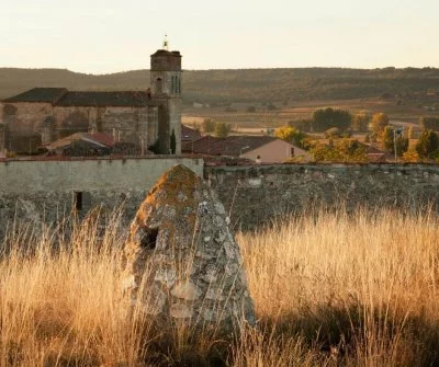 Main image of Dominio del Pidio (Ribera del Duero)