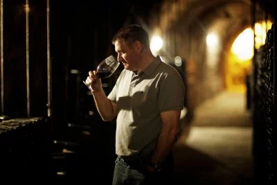 Immagine principale di Dominio del Pidio (Ribera del Duero)