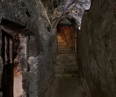 Imagen principal de Dominio del Pidio (Ribera del Duero)
