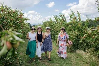 Immagine principale di Printhie Wines (Orange Area)