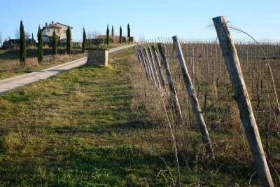 Imagen principal de Tenute Recchi Franceschini