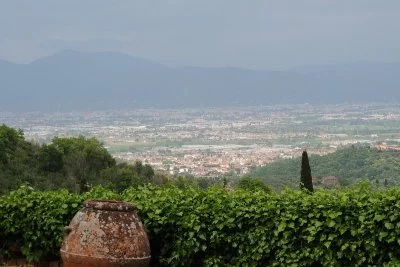 Imagen principal de Fattoria di Bacchereto (Chianti, Montalbano, Carmignano)