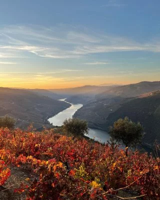 Imagen principal de Quinta da Marcela (Douro Valley)