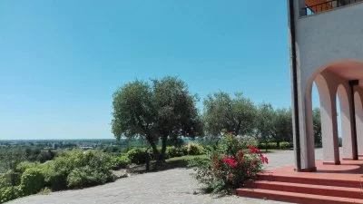 Main image of Azienda Cantarutti Alfieri (Colli Orientali, Friuli Grave)