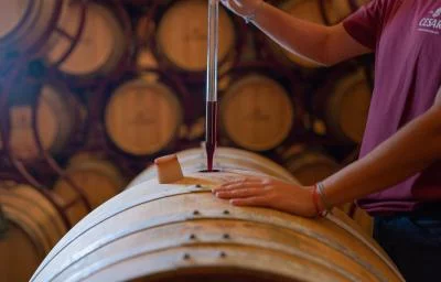 Main image of Gerardo Cesari S.P.A (Valpolicella, Amarone, Valpolicella Classica)
